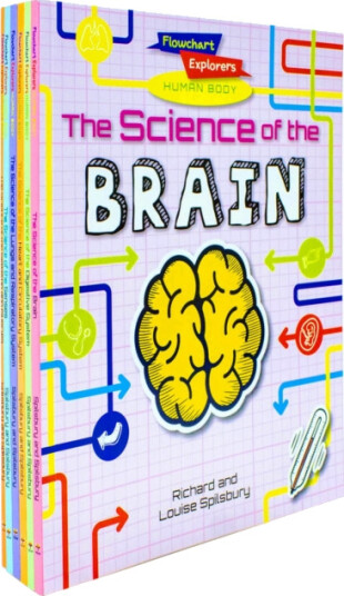 Flowchart Explorers Human Body STEM 6 Science Books Set  (Brain, Digestive, Heart, Lungs, Senses, Skeleton)