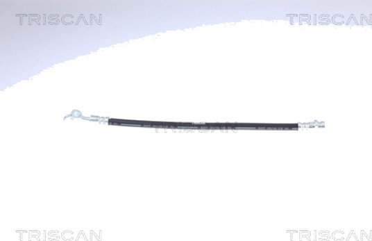 Bremseslange TRISCAN 8150 43139