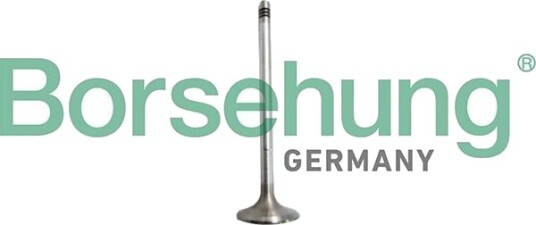 Borsehung B10327 Innløpsventil