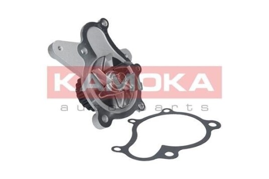 Vannpumpe KAMOKA T0160