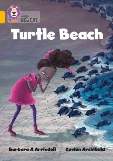 Turtle Beach Band 09/Gold