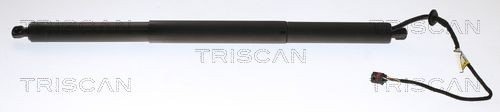 TRISCAN 8710 20301 Baklukedemper