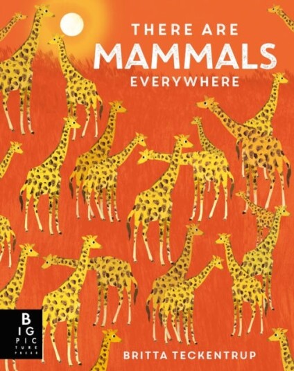 There are Mammals Everywhere There are Mammals Everywhere