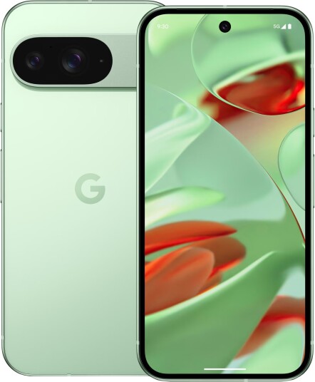 Google Pixel 9 5G 12GB RAM 128GB OLED Smartphone Vintergrønn