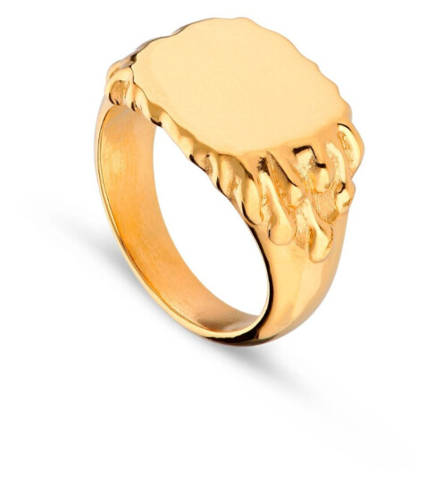 Jane Kønig Drippy Signet Ring 18 kt. Gullbelagt sølv DSR-AW22-G_52 - Unisex - 925 sterling silver Jane Kønig Drippy Signet Ring 18 kt. Gullbelagt sølv DSR-AW22-G_52 - Unisex - 925 sterling silver