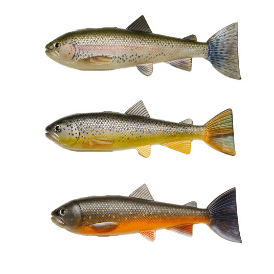 PulzBait Skinz Trout 15cm 3 pakning Brown+Rainbow+Char PulzBait Skinz Trout 15cm 3 pakning Brown+Rainbow+Char