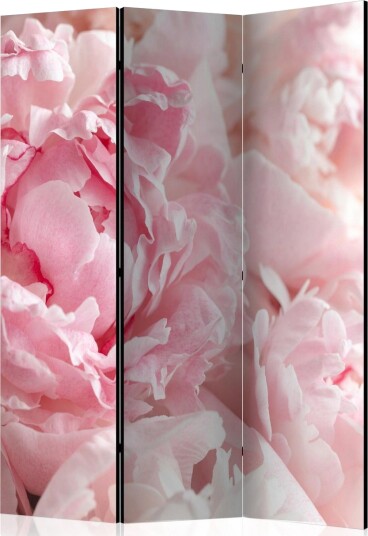 Kadira Rumsavdelare 135x172 cm VALUE_MISSING_1 -