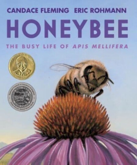 Honeybee Honeybee