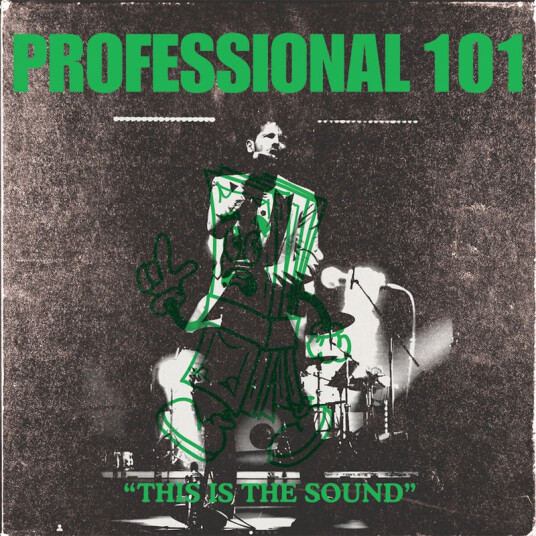 Professional 101 This Is The Sound CD