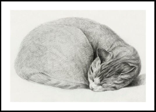 Rolled Up Lying Sleeping Cat By Jean Bernard 1775 1883 Plakat / 21x30 Rolled Up Lying Sleeping Cat By Jean Bernard 1775 1883 Plakat / 21x30