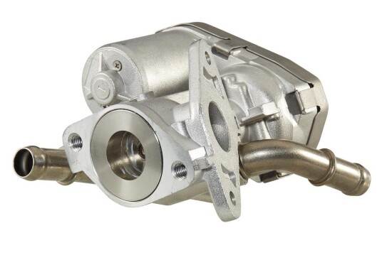 EGR Ventil HELLA 6NU 010 171-271
