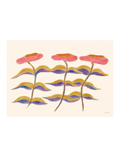 The Poster Club The Poster Club X Ojuna Njama Petersen Three Flowers Pink 50X 70CM The Poster Club The Poster Club X Ojuna Njama Petersen Three Flowers Pink 50X 70CM