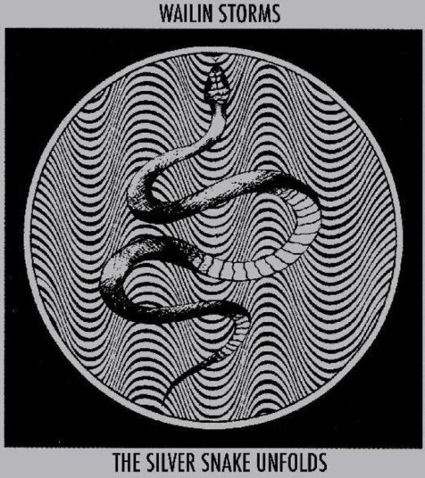 Silver Snake Unfolds Vinyl