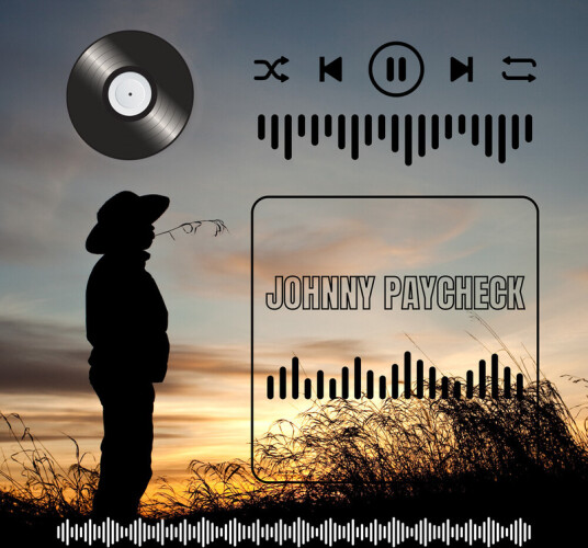 Johnny Paycheck Johnny Paycheck's Collection Of Hits CD