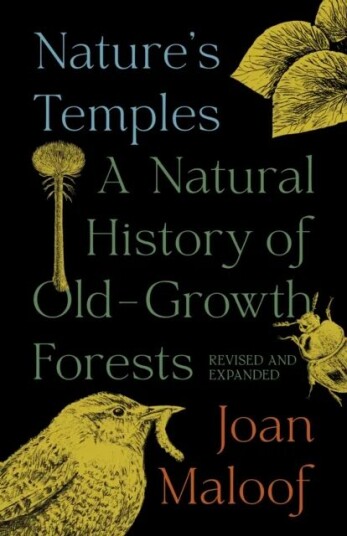 Nature'S Temples Av Joan Maloof