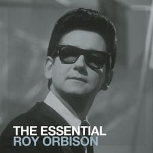 Essential Foods Roy Orbison The Essential Roy Orbison 2CD Essential Foods Roy Orbison The Essential Roy Orbison 2CD