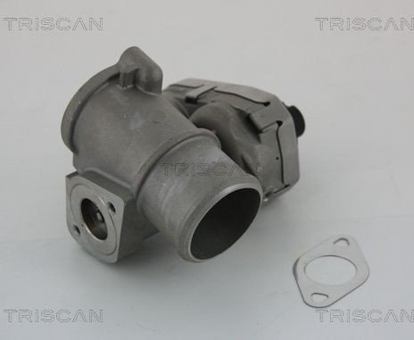 EGR-ventil TRISCAN 8813 16101