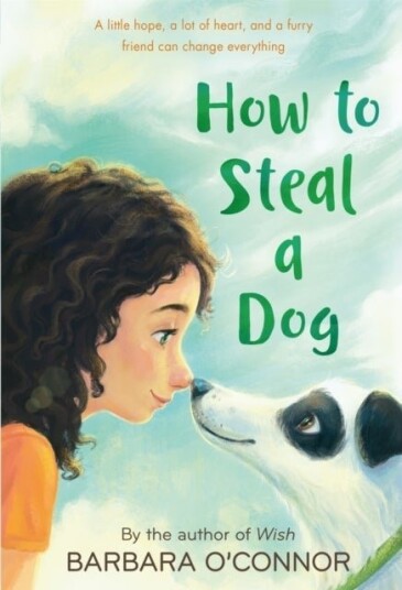 How to Steal a Dog How to Steal a Dog