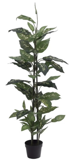 Europalms Dieffenbachia, 120cm