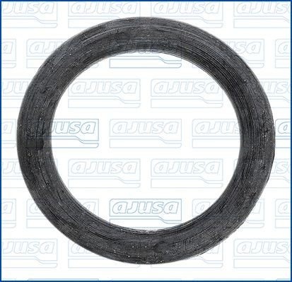 Tetning, innsugningsmanifold AJUSA 16526400