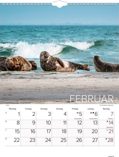 Mayland Vgkalender Verdens dyr 2027