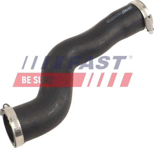 FAST FT01218 Ladeluftslange