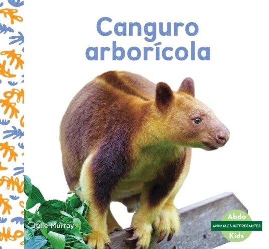 Canguro arboricola (Tree Kangaroos)