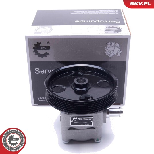 Servopumpe ESEN SKV 10SKV293