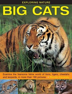 Exploring Nature: Big Cats Av Rhonda Klevansky