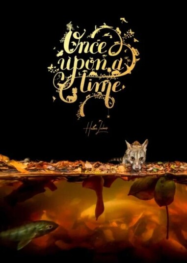 Once Upon A Time Av Hannes Lochner
