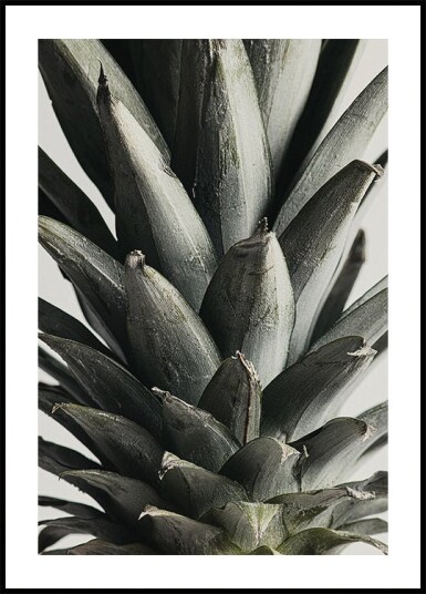 Pictufy Studio Iii Pineapple close up Plakat Plakat / 70x100cm Pictufy Studio Iii Pineapple close up Plakat Plakat / 70x100cm