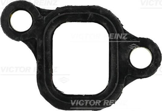 Tetning innsugningsmanifold REINZ 71 53007 00