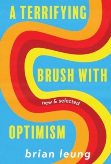 A Terrifying Brush with Optimism New and Selected Stories A Terrifying Brush with Optimism New and Selected Stories