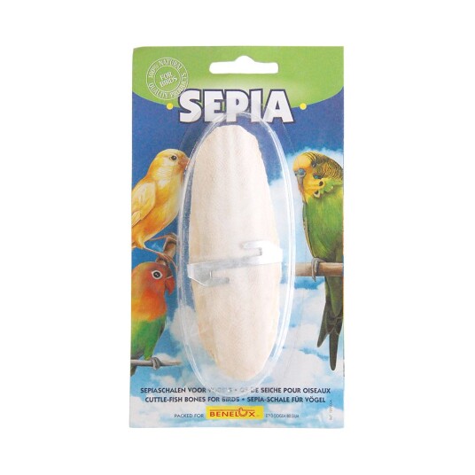 Benelux Sepiaskall Med Feste 15 G