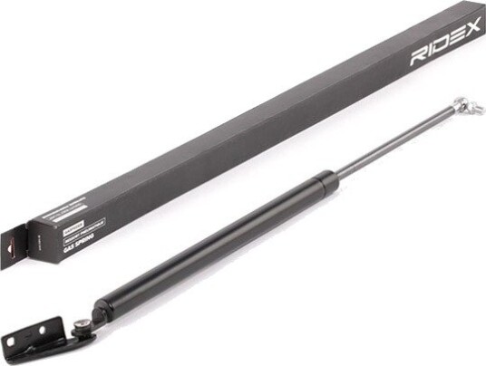 Baklukedemper RIDEX 219G0582