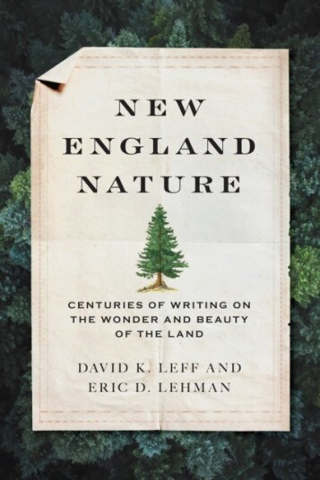 New England Nature New England Nature