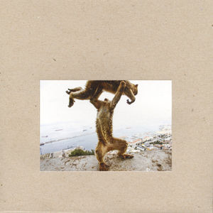 Shellac Dude Incredible CD
