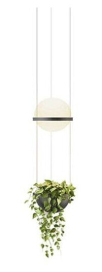 Vibia Palma Taklampe m. Planteskål