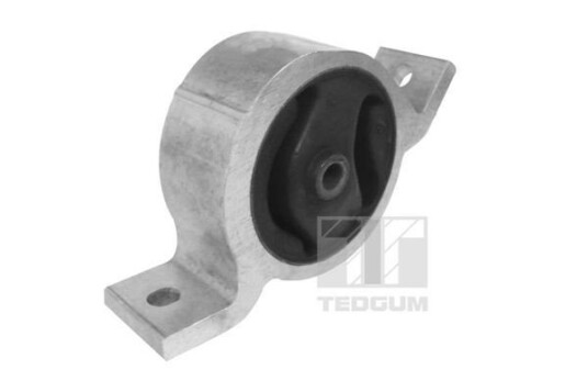 Motorfeste TEDGUM 00466219