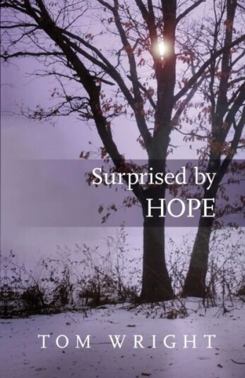 Surprised By Hope Av Tom Wright