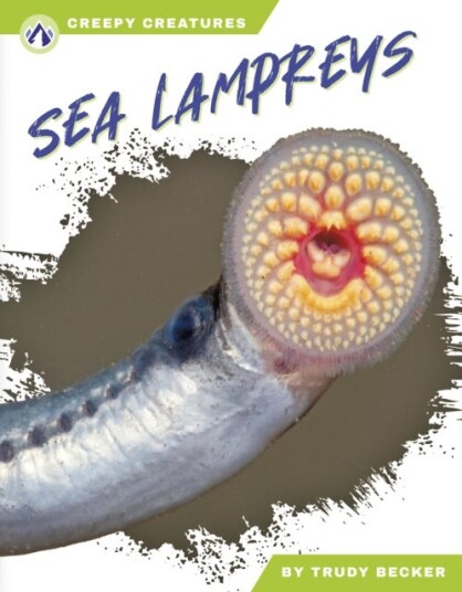 Creepy Creatures: Sea Lampreys
