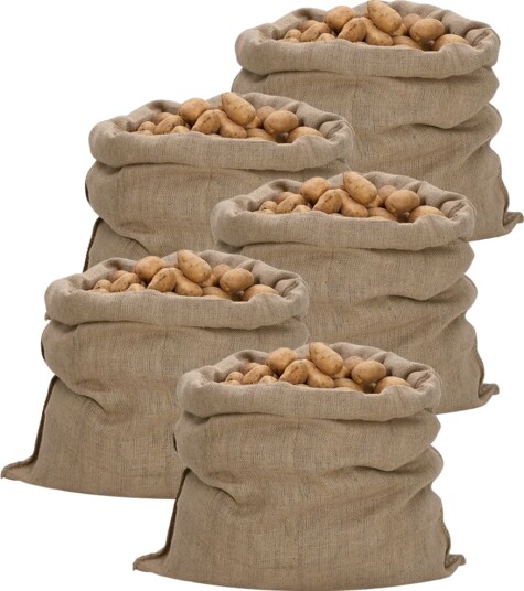  Jutesekker 5 stk 100x110 cm 100% jute 340 gsm 155787