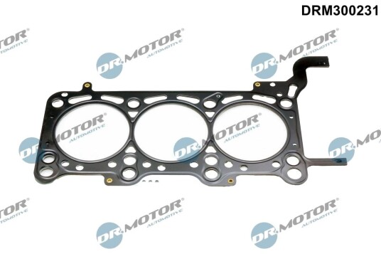 Tetning, topplokk DR.MOTOR AUTOMOTIVE DRM300231