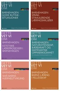 Dette Vet Vi Om Barnehagen