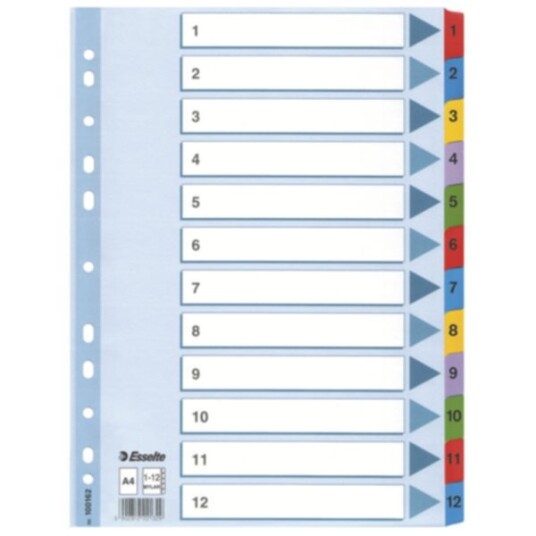 Register Esselte Mylar A4 1-12 flerfarget