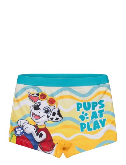 Paw Patrol Swimwear   Multi/patterned   110