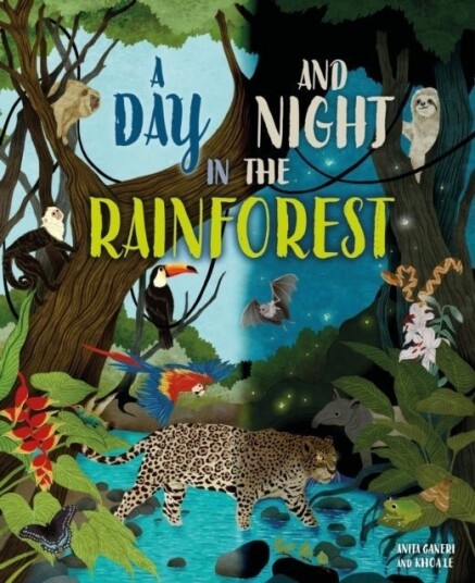 A Day and Night: In a Rainforest A Day and Night: In a Rainforest
