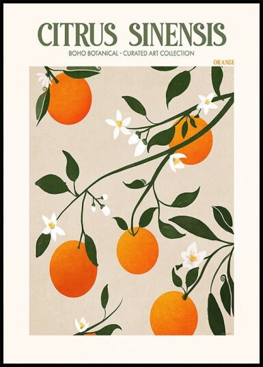 Orange Elegance Plakat / 70x100cm