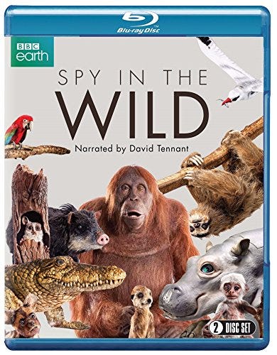 Spy In The Wild (BBC)