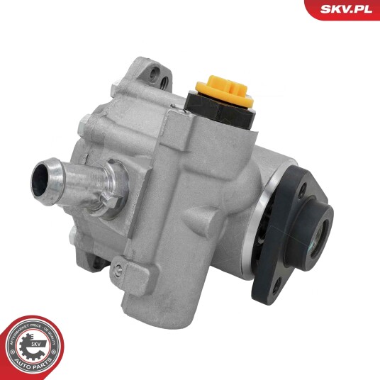 ESEN SKV 10SKV439 Servopumpe